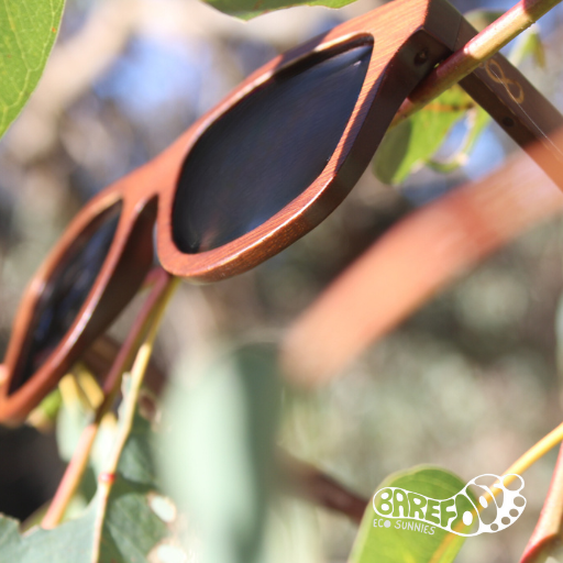 Barefoot Eco Sunnies - North Mole Island