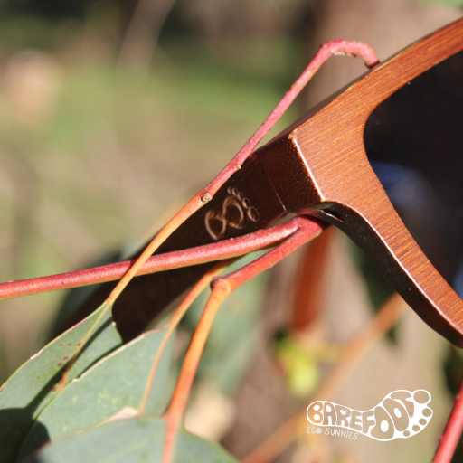 Barefoot Eco Sunnies - North Mole Island