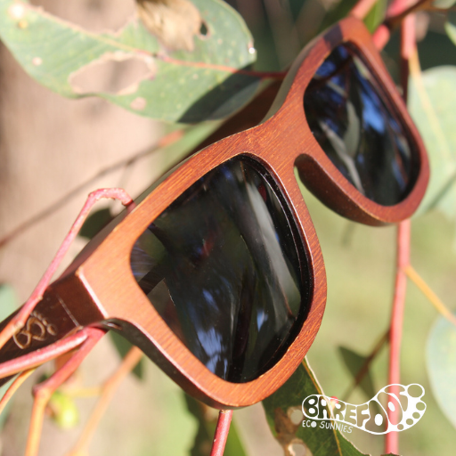 Barefoot Eco Sunnies - North Mole Island